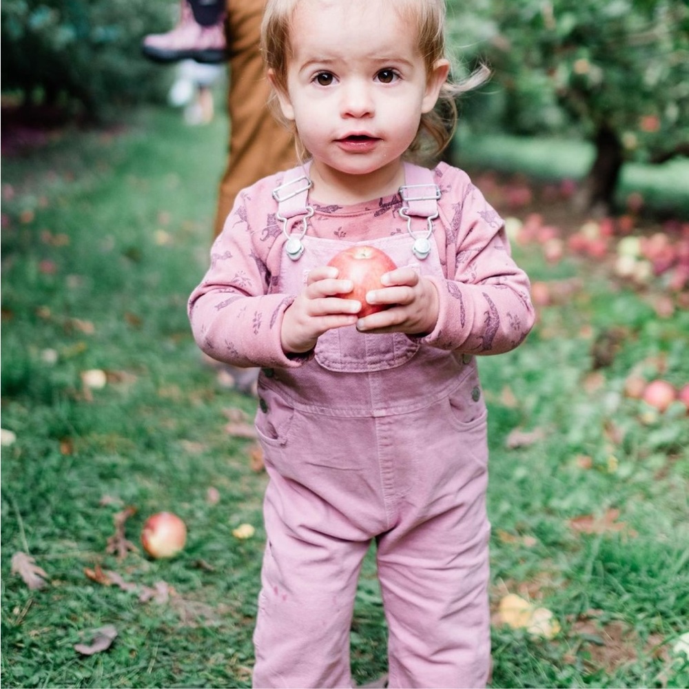 Pink Zara Denim Overalls - 9-12 months
